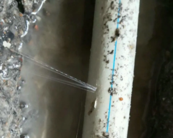 延安市卫生间测漏水多少钱