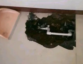 延安市卫生间测漏水多少钱